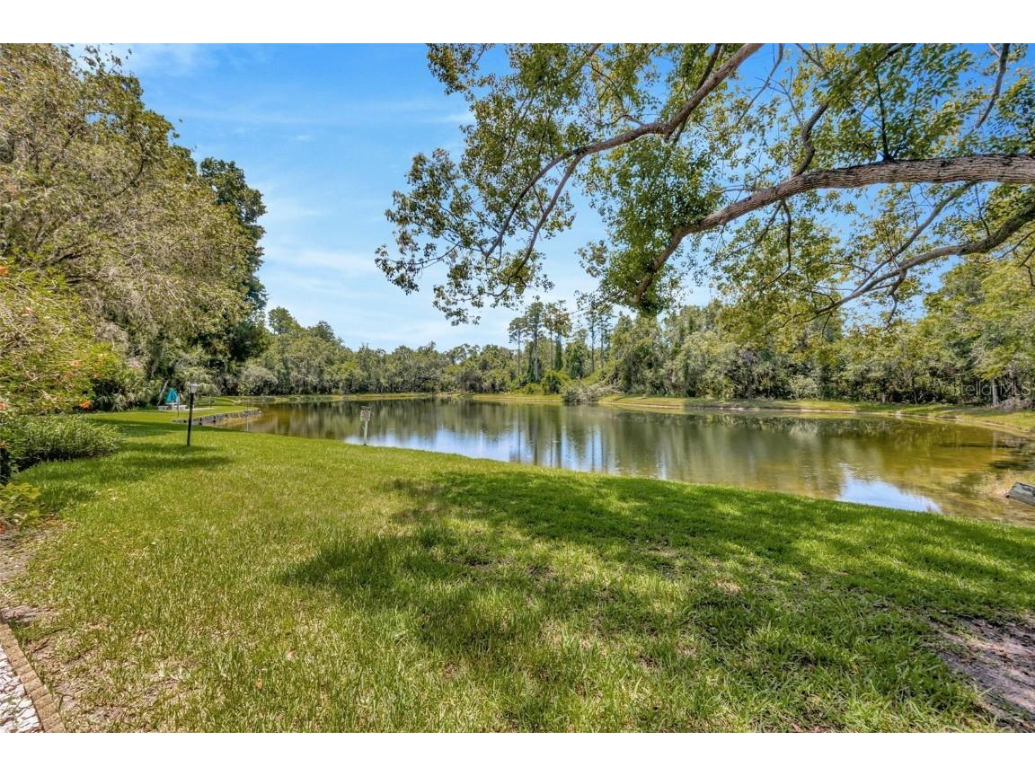 3134 Lake Pine Way #F2 Tarpon Springs FL 34688 W7876770 image38