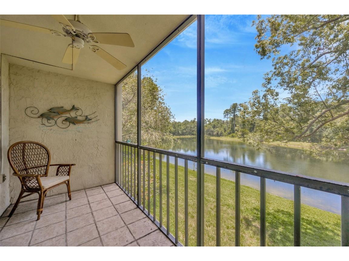3134 Lake Pine Way #F2 Tarpon Springs FL 34688 W7876770 image4