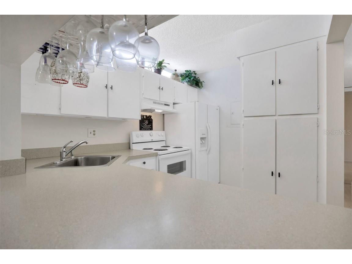 3134 Lake Pine Way #F2 Tarpon Springs FL 34688 W7876770 image9