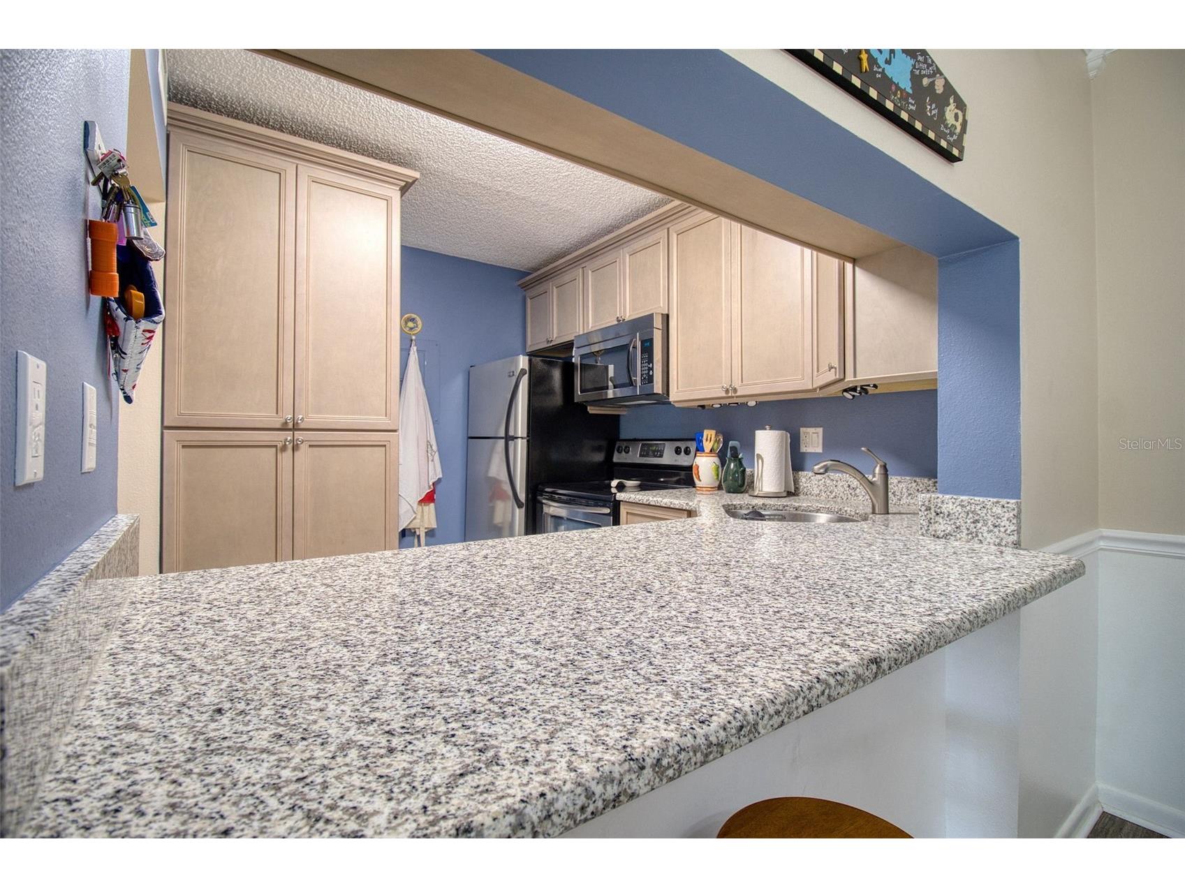 3134 Lake Pine Way #G2 Tarpon Springs FL 34688 TB8462025 image11