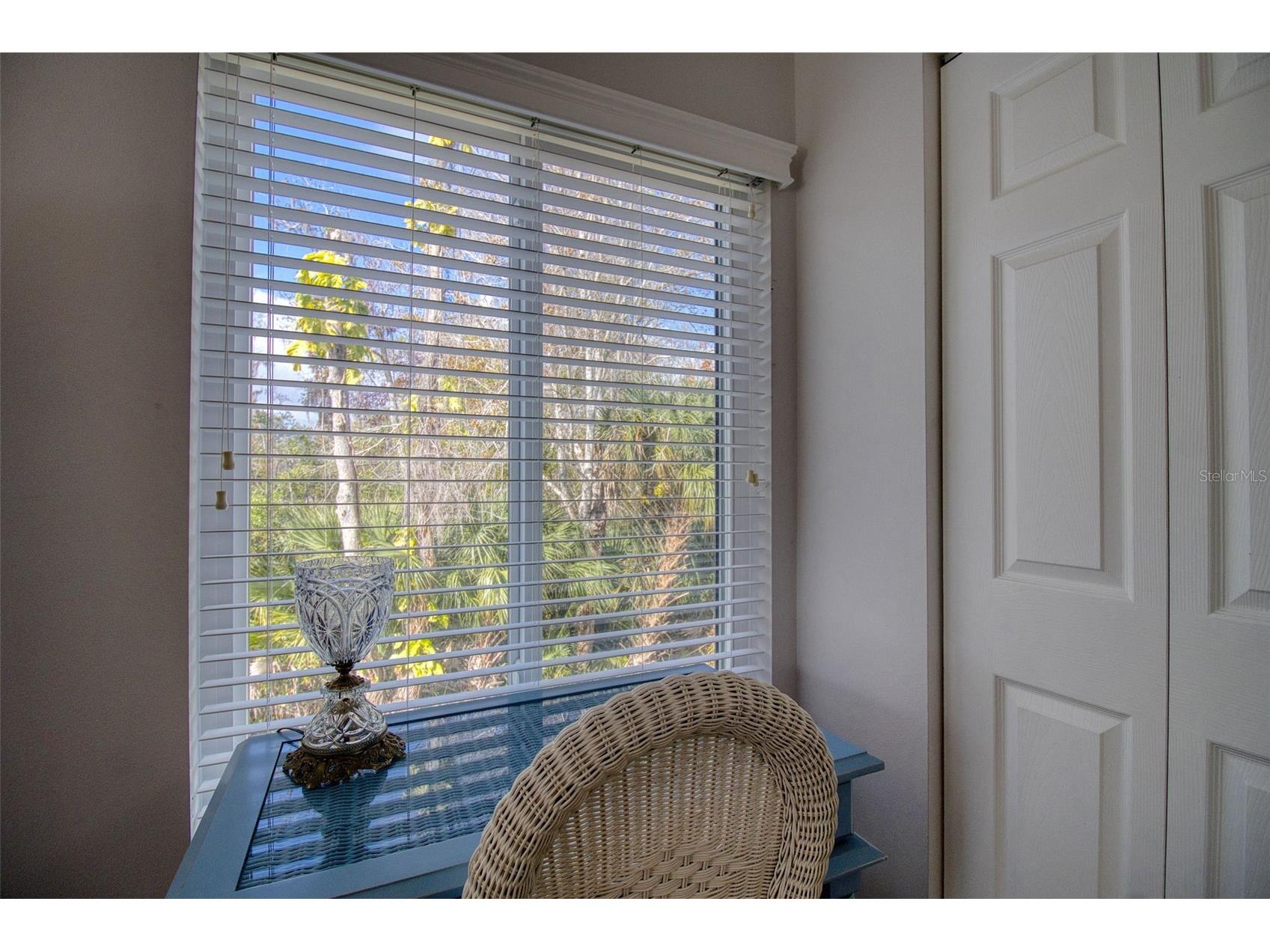 3134 Lake Pine Way #G2 Tarpon Springs FL 34688 TB8462025 image19