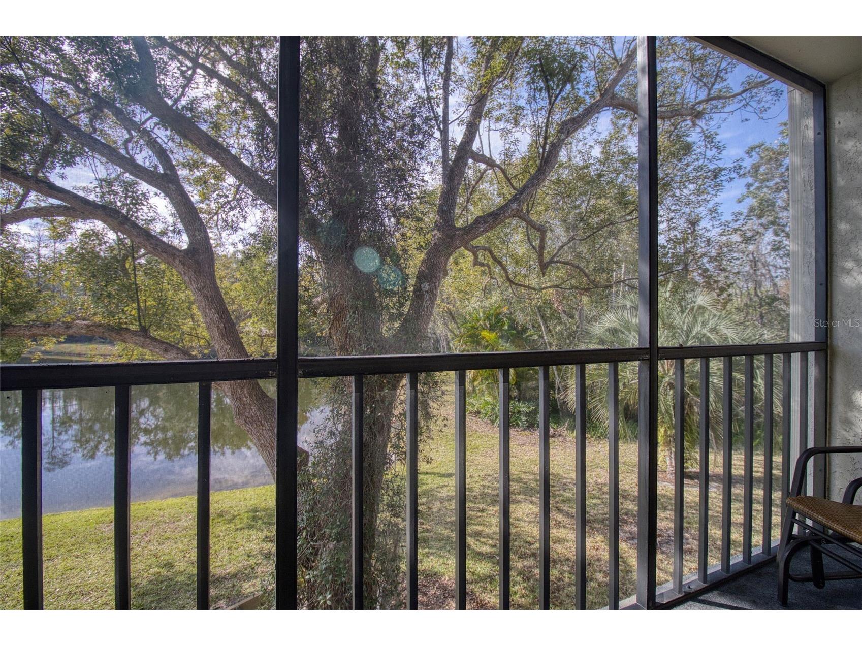 3134 Lake Pine Way #G2 Tarpon Springs FL 34688 TB8462025 image22