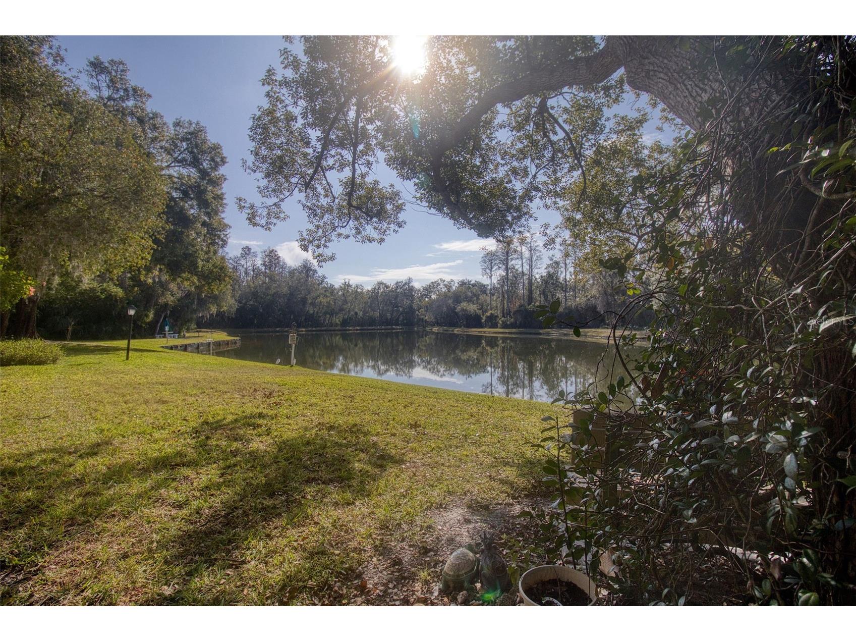 3134 Lake Pine Way #G2 Tarpon Springs FL 34688 TB8462025 image24