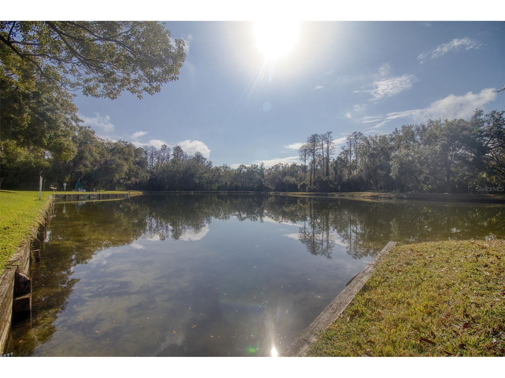 3134 Lake Pine Way #G2 Tarpon Springs FL 34688 TB8462025 image25