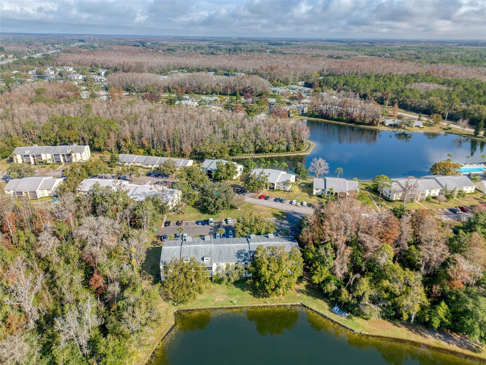 3134 Lake Pine Way #G2 Tarpon Springs FL 34688 TB8462025 image29