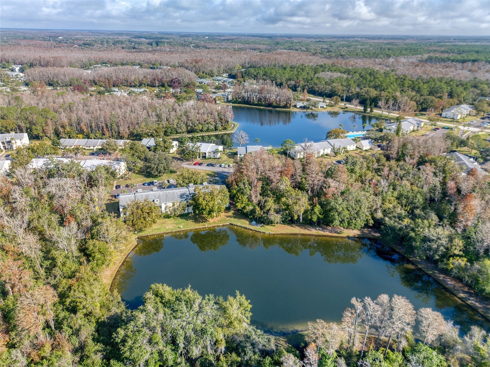 3134 Lake Pine Way #G2 Tarpon Springs FL 34688 TB8462025 image30
