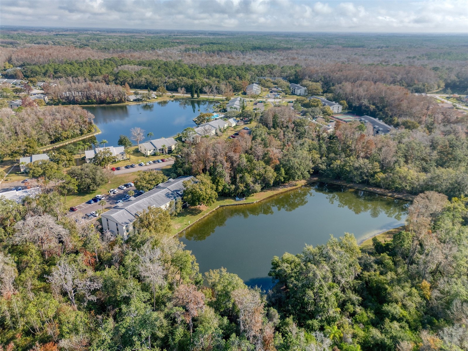 3134 Lake Pine Way #G2 Tarpon Springs FL 34688 TB8462025 image31