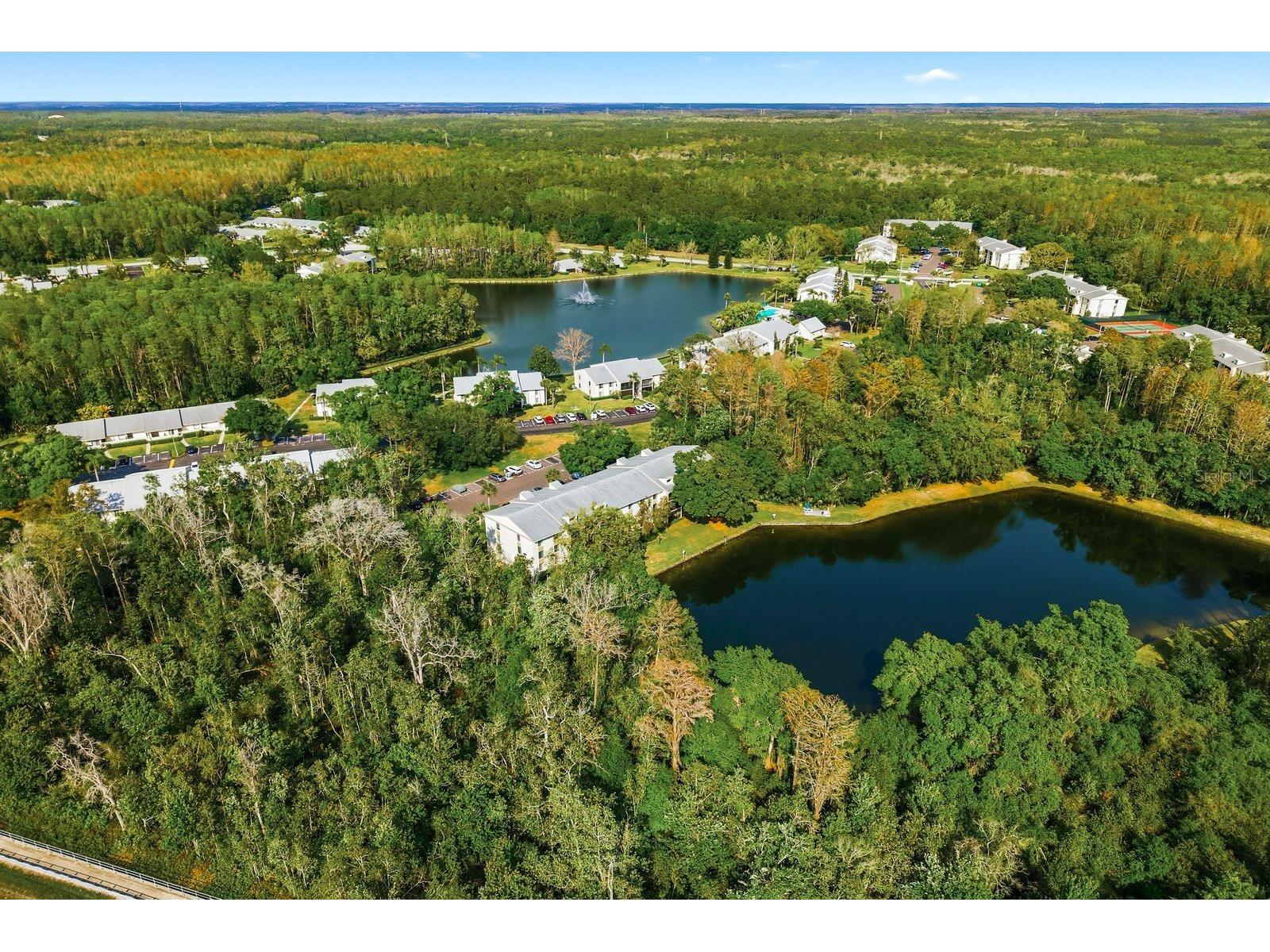 3134 Lake Pine Way #H1 Tarpon Springs FL 34688 TB8487977 image32
