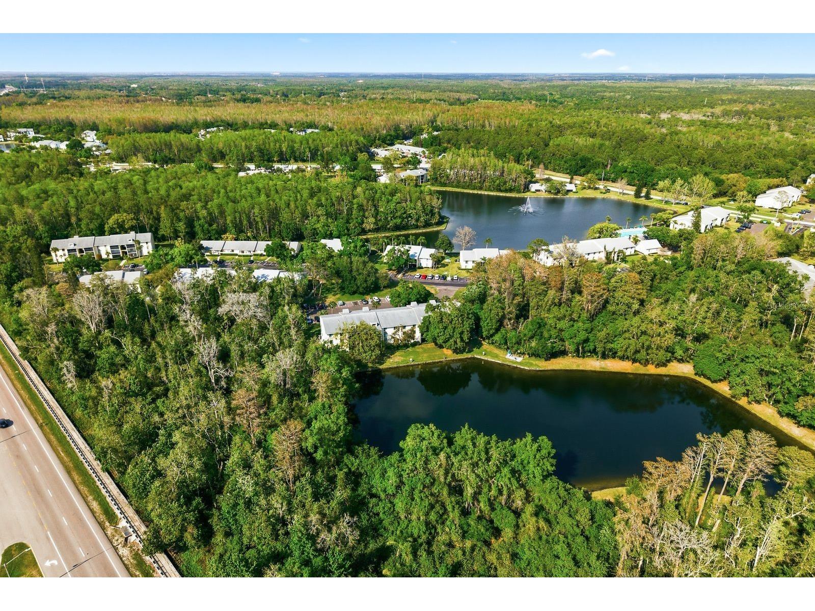 3134 Lake Pine Way #H1 Tarpon Springs FL 34688 TB8487977 image33