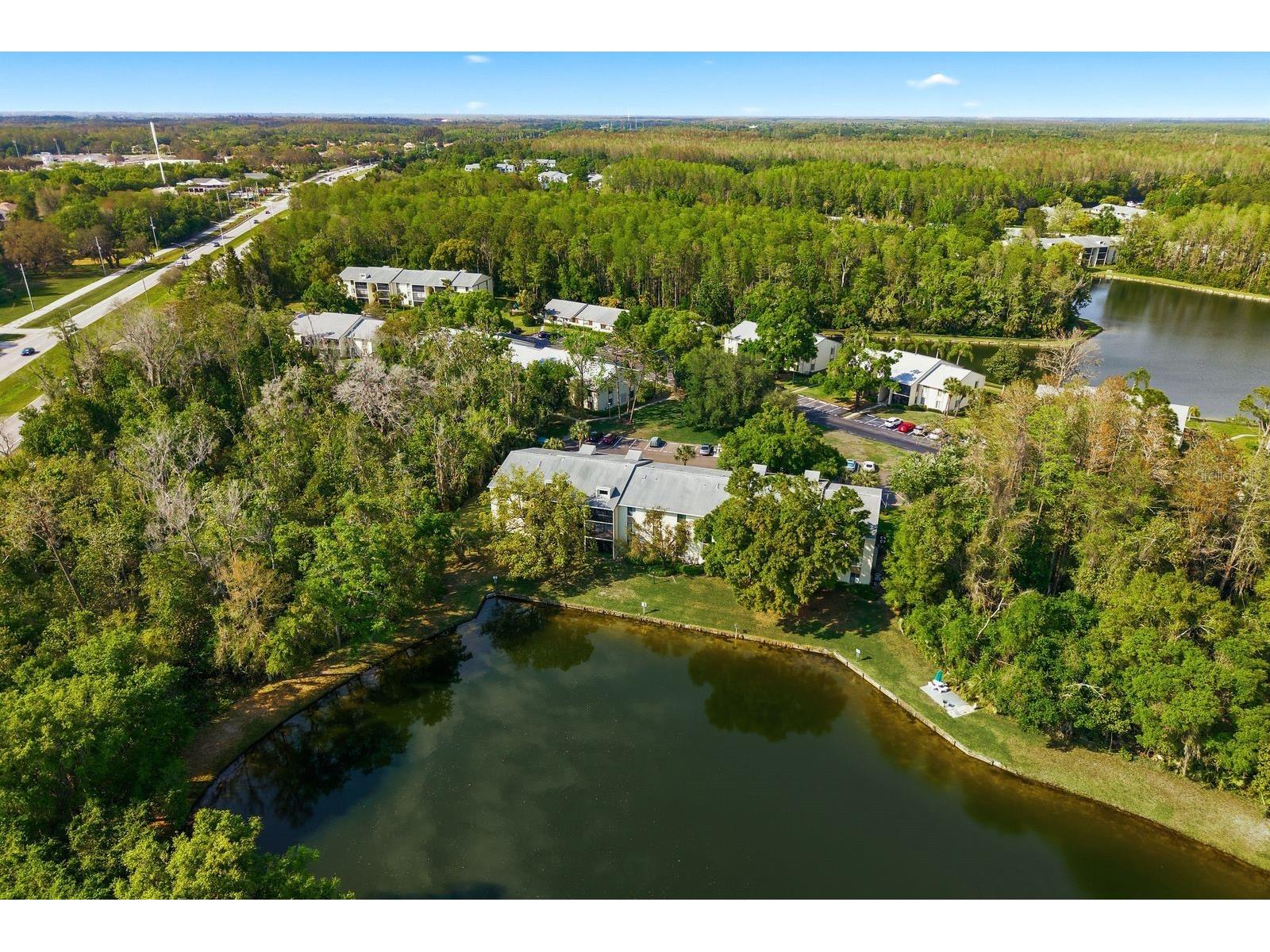 3134 Lake Pine Way #H1 Tarpon Springs FL 34688 TB8487977 image34