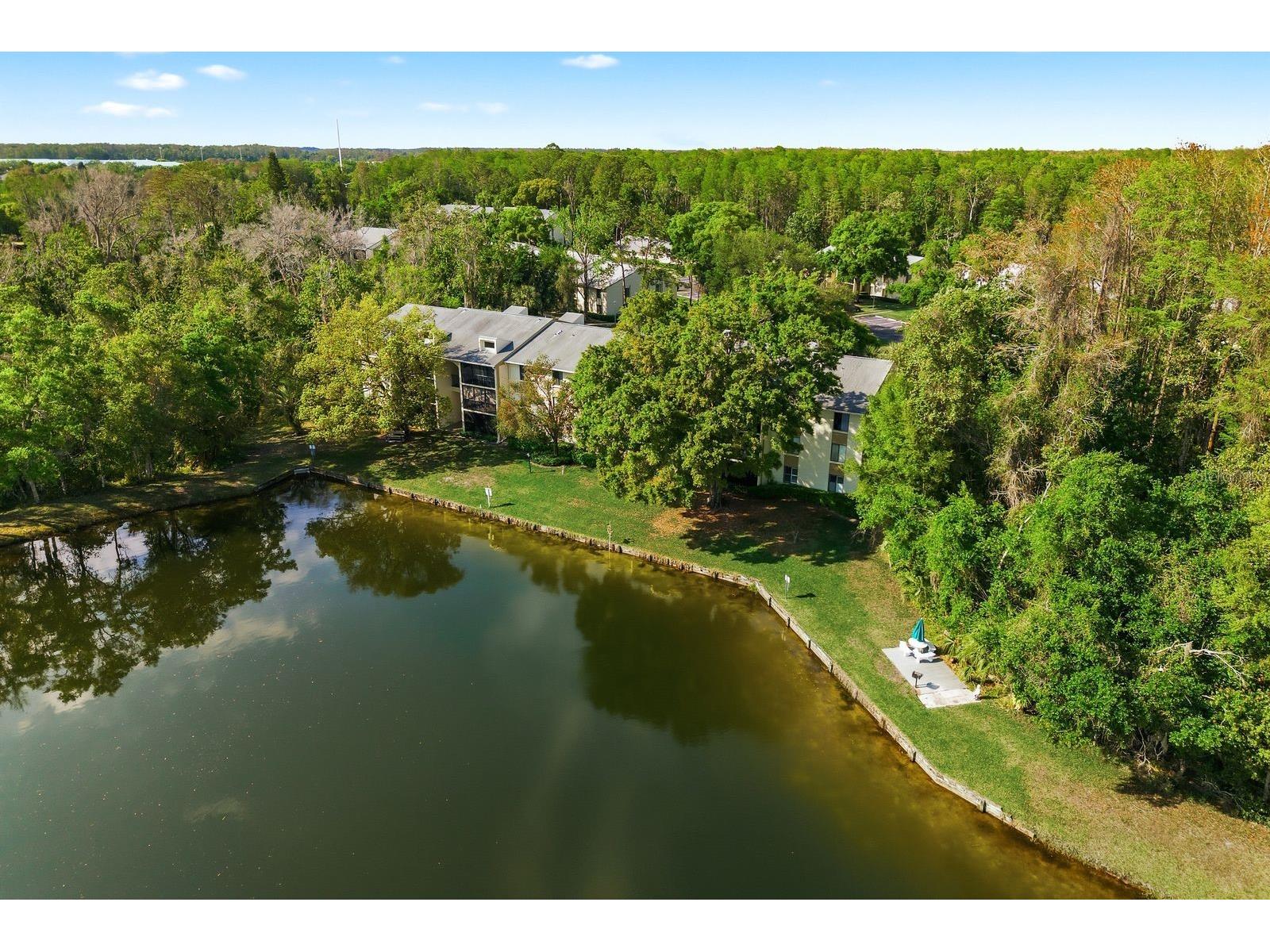 3134 Lake Pine Way #H1 Tarpon Springs FL 34688 TB8487977 image35
