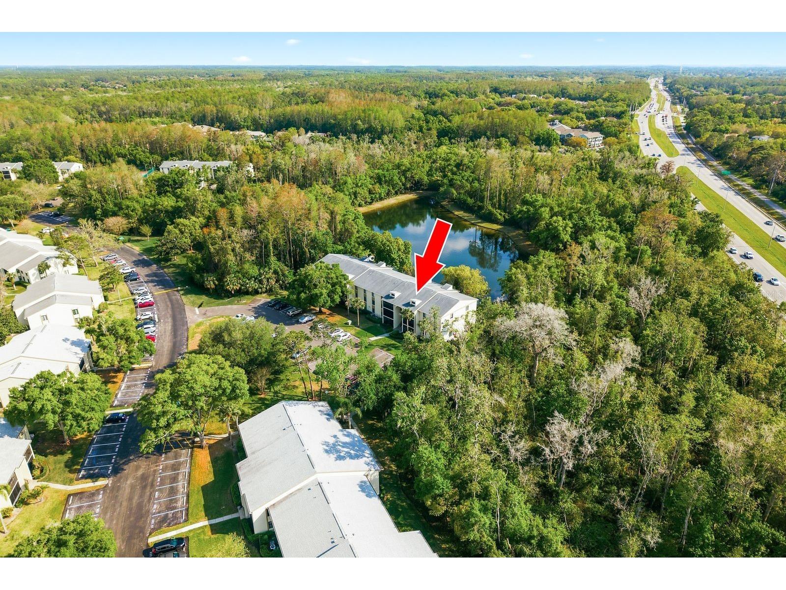 3134 Lake Pine Way #H1 Tarpon Springs FL 34688 TB8487977 image36