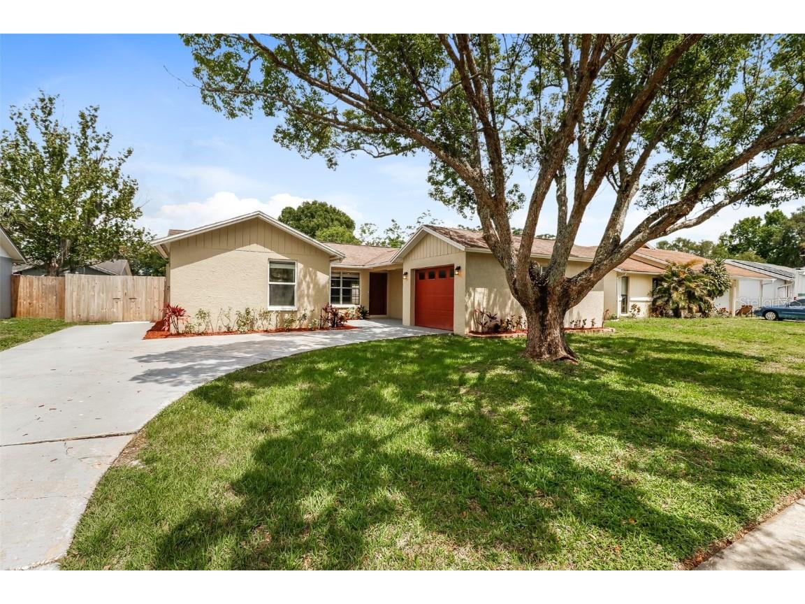 3134 Latrobe Street New Port Richey FL 34655 O6117420 image1