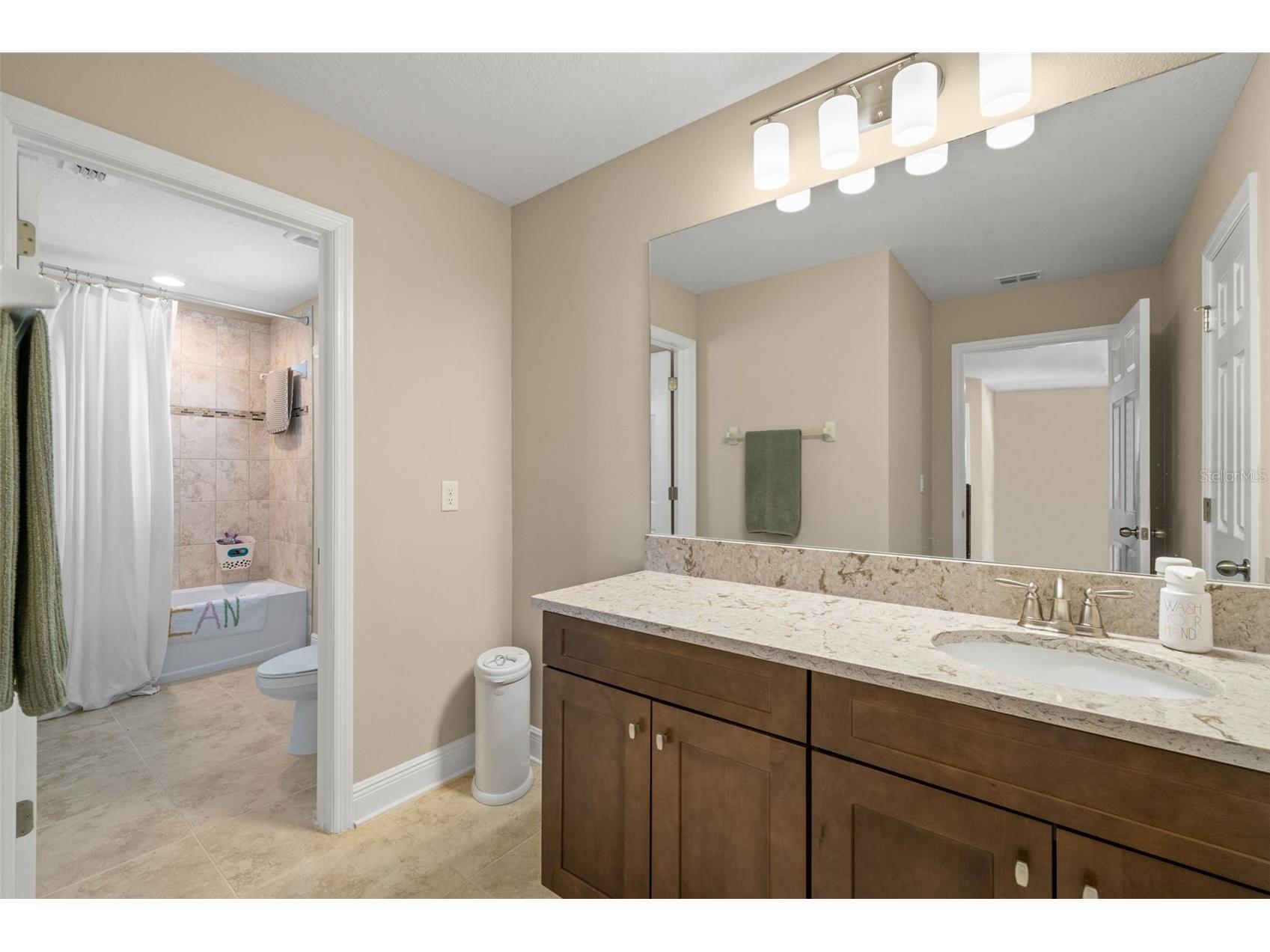 3134 Marine Grass Drive Wimauma FL 33598 TB8519003 image18