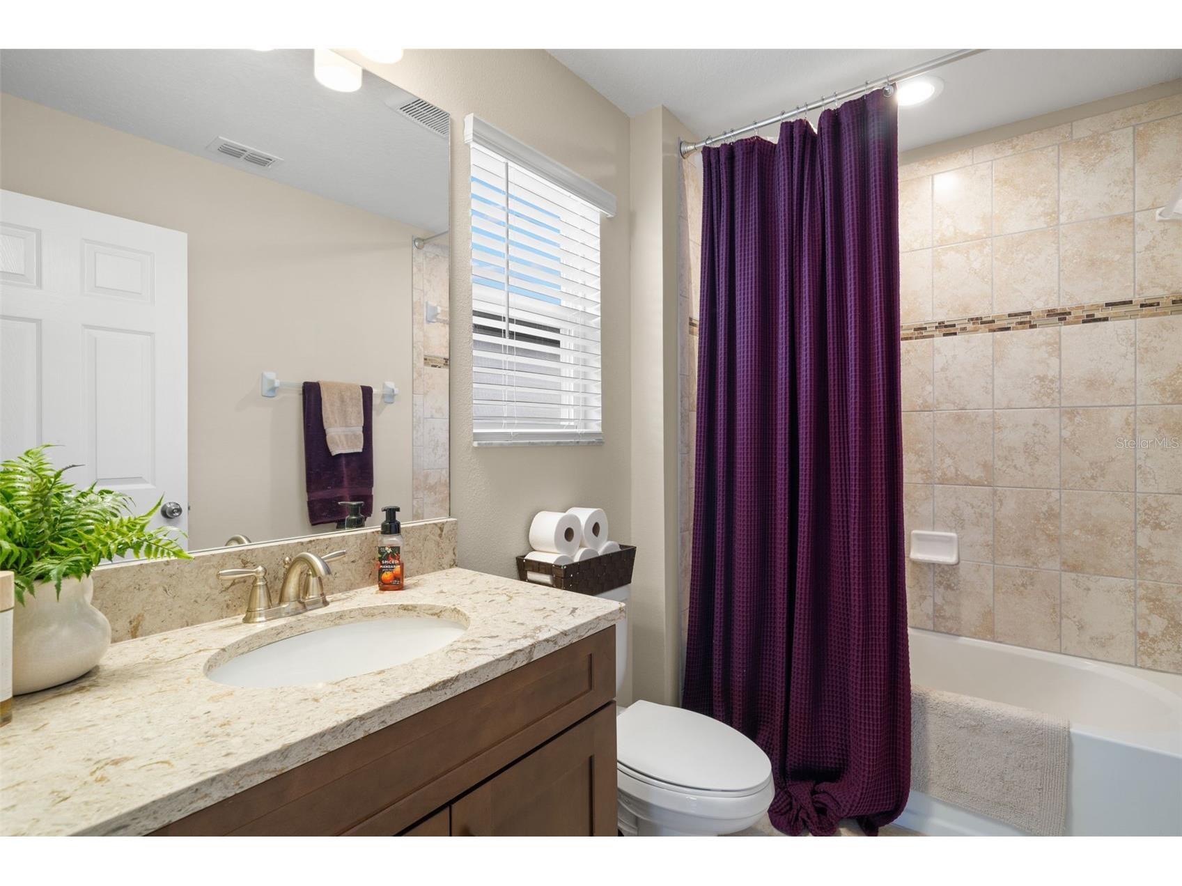 3134 Marine Grass Drive Wimauma FL 33598 TB8519003 image20