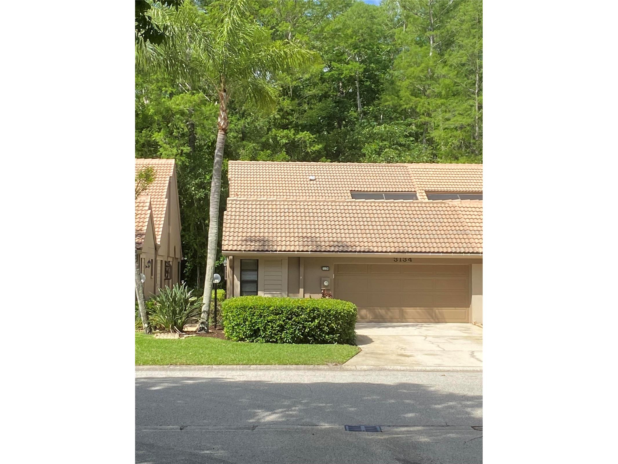 3134 Windmoor Drive N Palm Harbor FL 34685 O6402214 image1