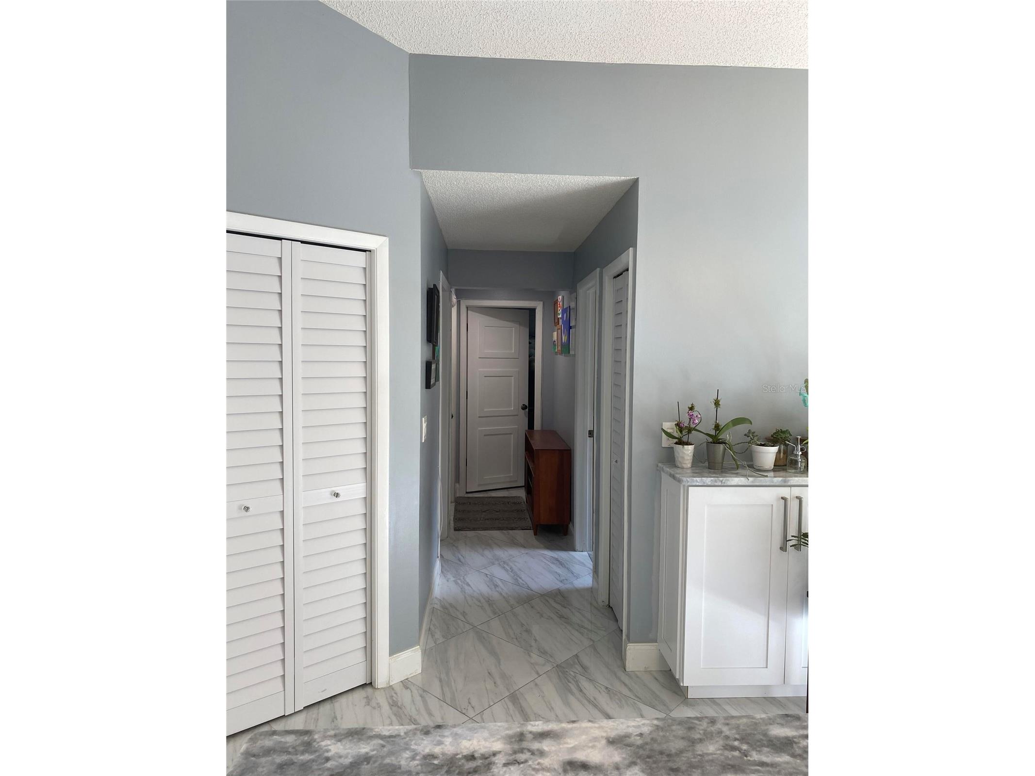 3134 Windmoor Drive N Palm Harbor FL 34685 O6402214 image23