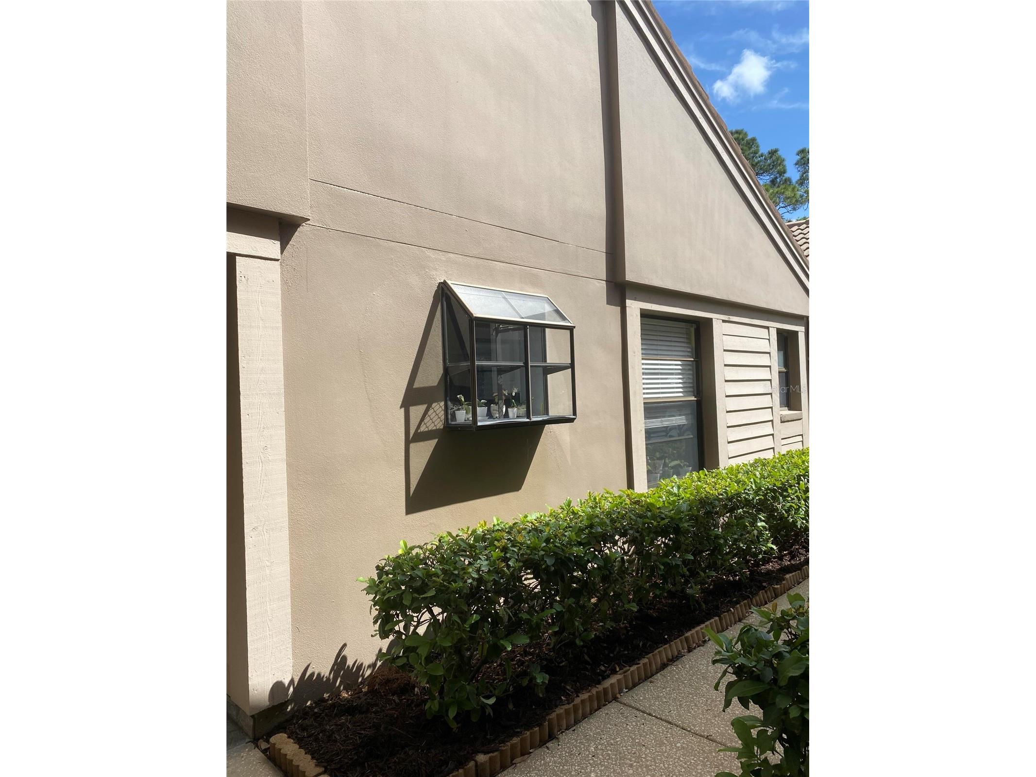 3134 Windmoor Drive N Palm Harbor FL 34685 O6402214 image3