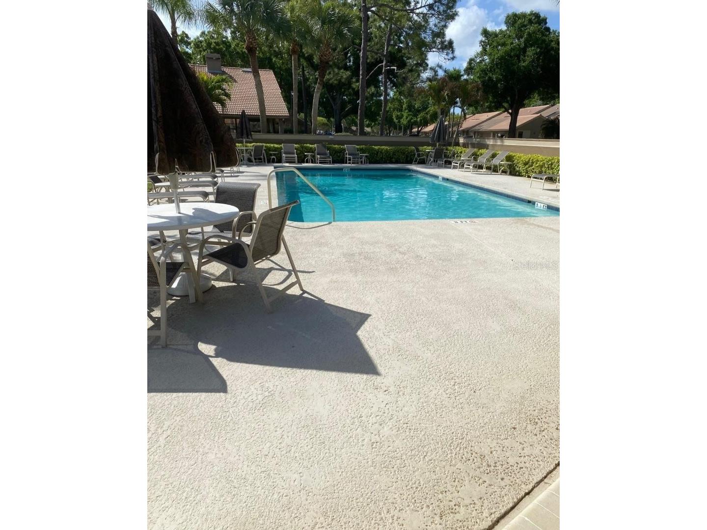 3134 Windmoor Drive N Palm Harbor FL 34685 O6402214 image36