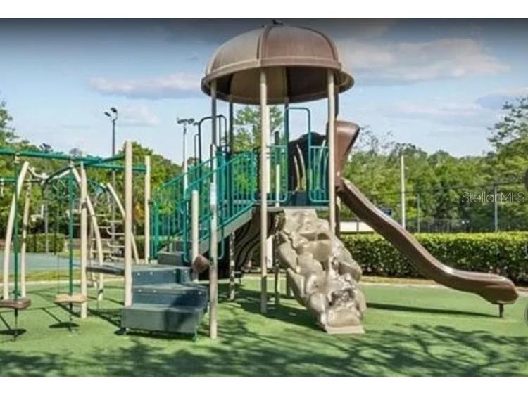 3134 Windmoor Drive N Palm Harbor FL 34685 O6402214 image37