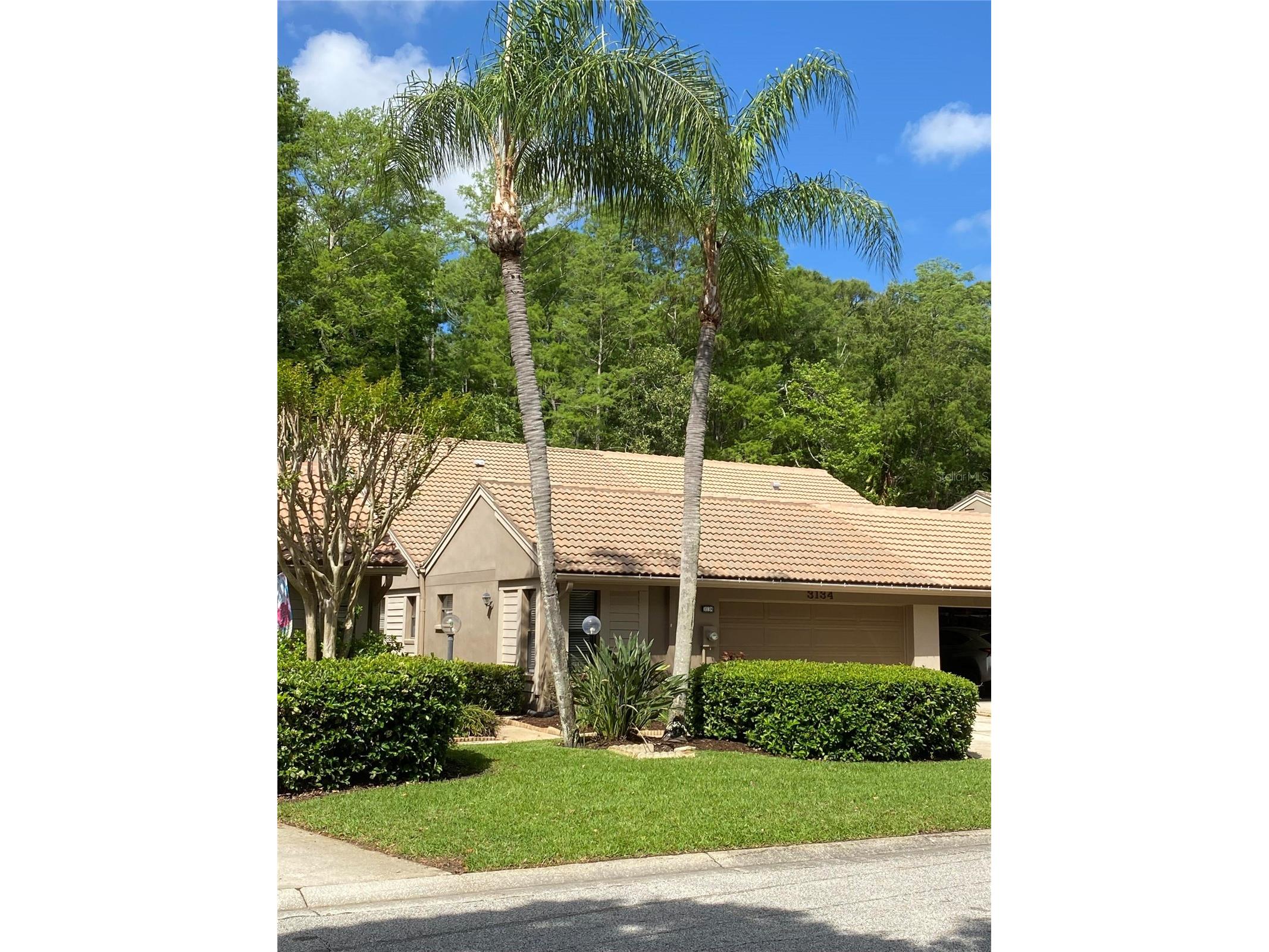 3134 Windmoor Drive N Palm Harbor FL 34685 O6402214 image4