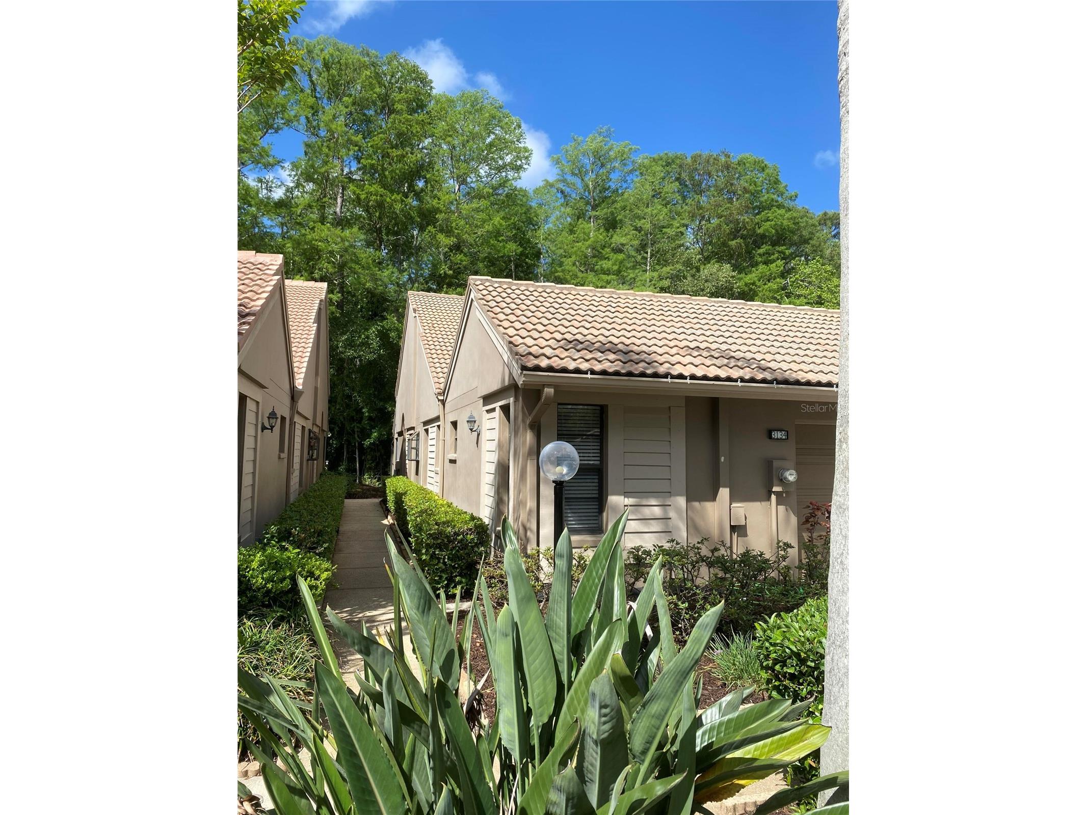 3134 Windmoor Drive N Palm Harbor FL 34685 O6402214 image5