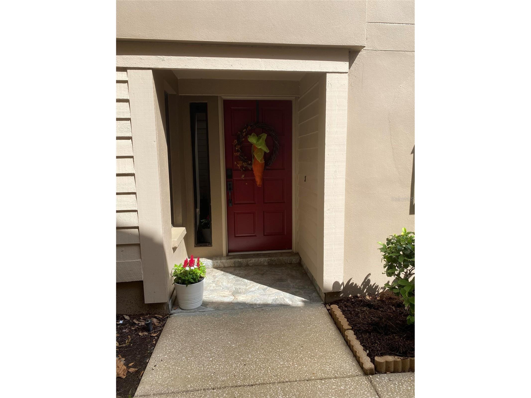 3134 Windmoor Drive N Palm Harbor FL 34685 O6402214 image6