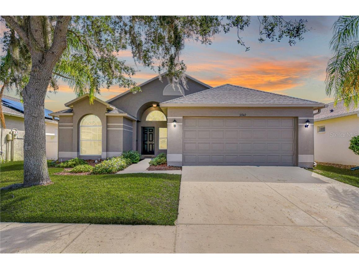 31342 Philmar Lane Wesley Chapel FL 33543 TB8341896 image1