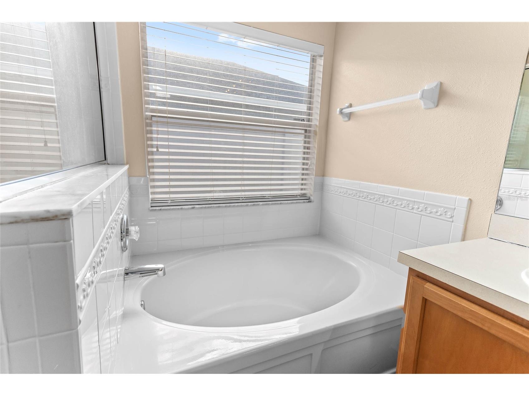 31346 Glendalough Way Wesley Chapel FL 33545 TB8493327 image17
