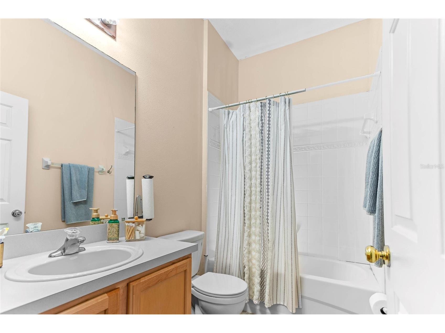 31346 Glendalough Way Wesley Chapel FL 33545 TB8493327 image19