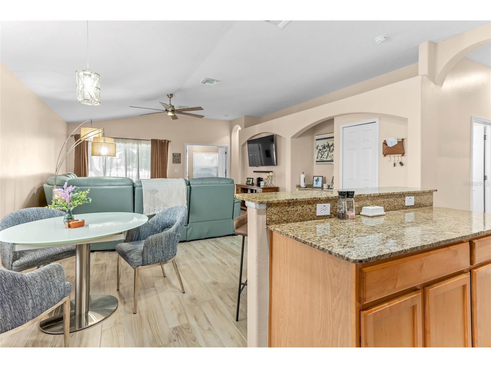 31346 Glendalough Way Wesley Chapel FL 33545 TB8493327 image9