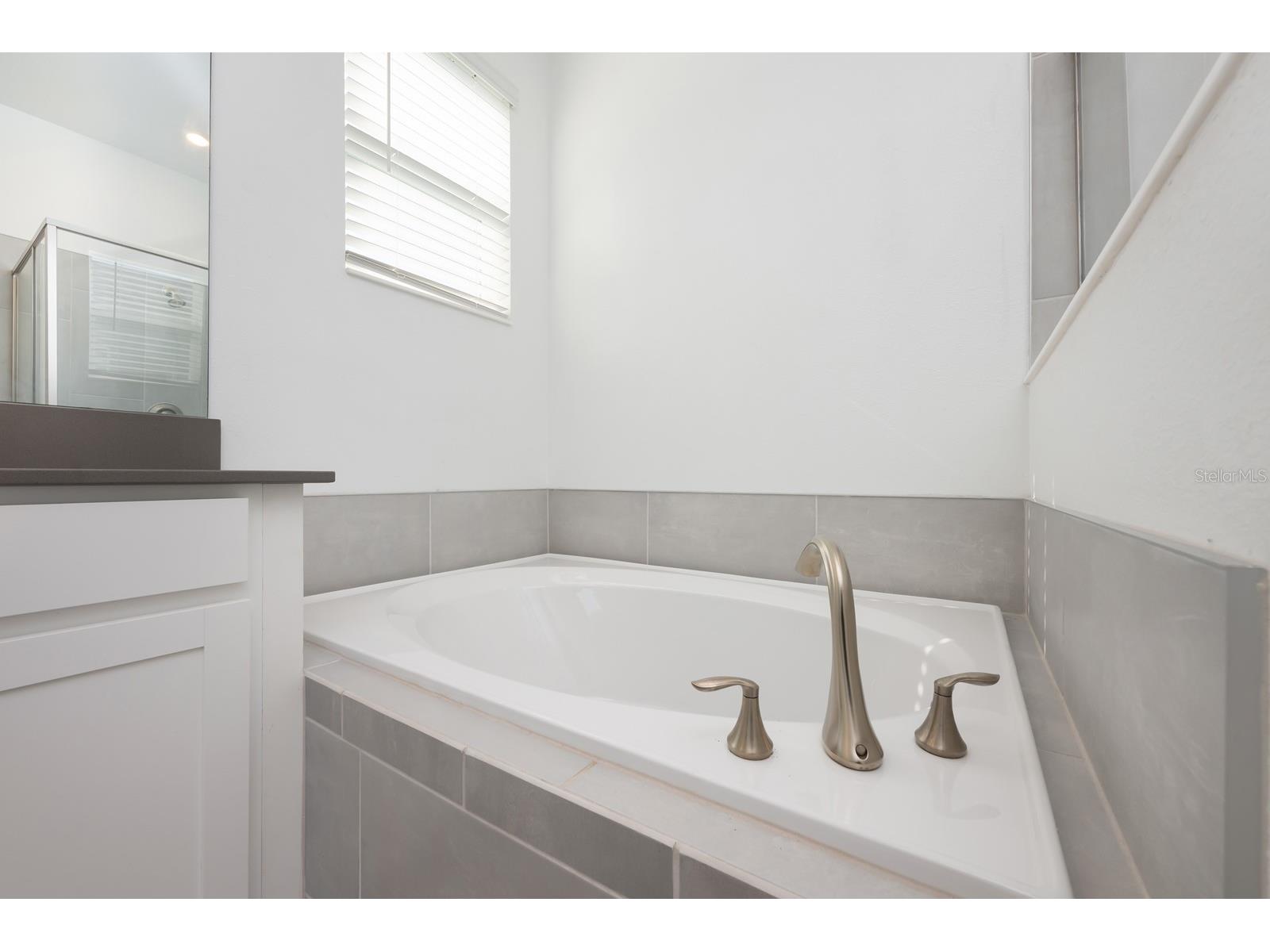 3135 Camden Way Davenport FL 33837 O6370903 image14