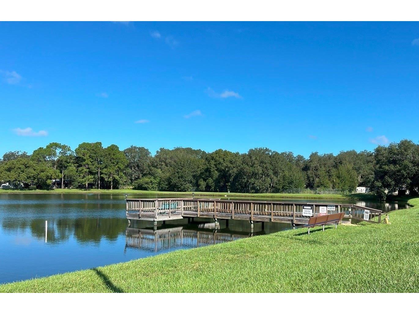 3135 Great Oak Street Wesley Chapel FL 33543 TB8493579 image29