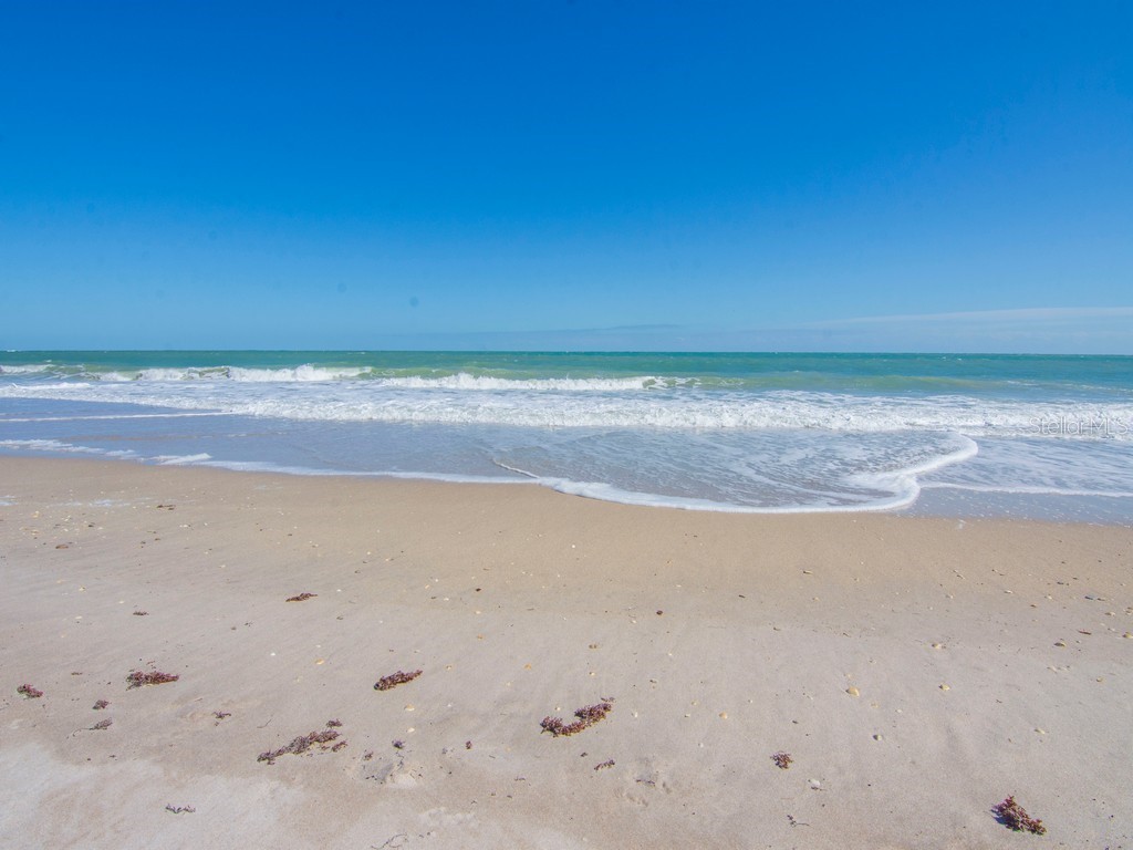 3135 Highway A1a #202 Melbourne FL 32951 O6413524 image2