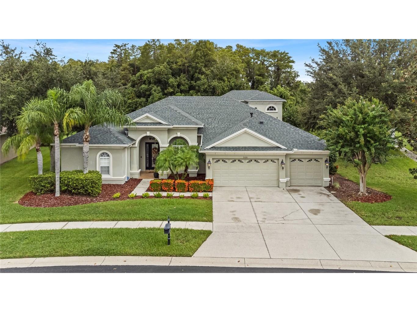 3135 Marble Crest Drive Land O Lakes FL 34638 TB8302276 image1