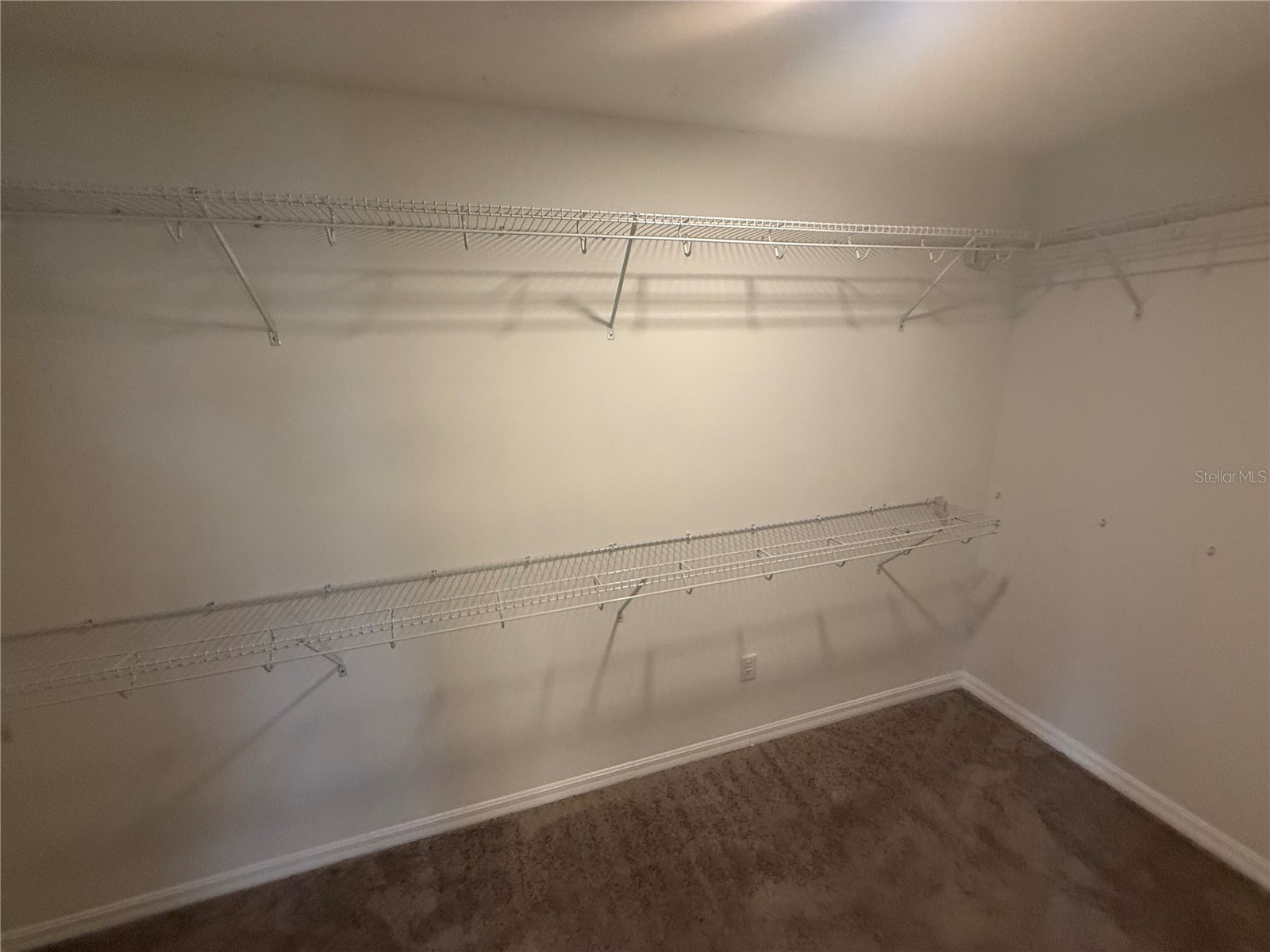 3135 Marine Grass Drive Wimauma FL 33598 TB8514349 image12