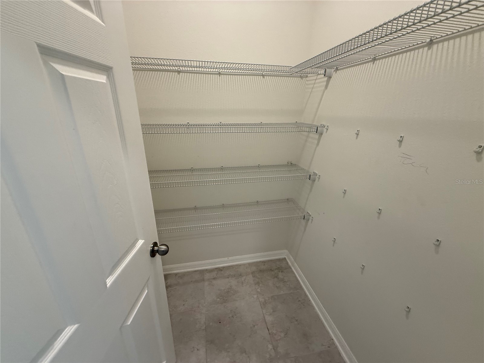 3135 Marine Grass Drive Wimauma FL 33598 TB8514349 image6