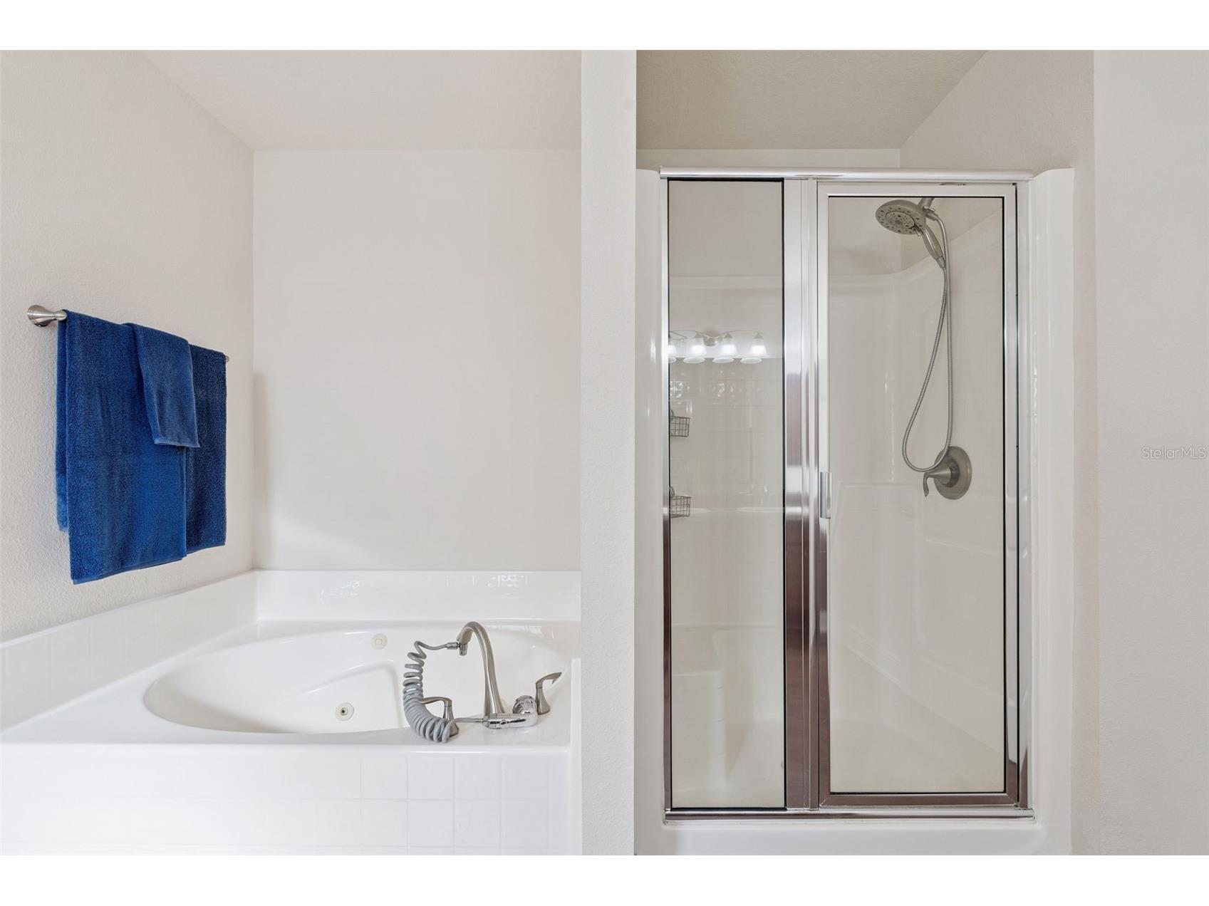 3135 Pizzaro Place Clermont FL 34715 G5110415 image24