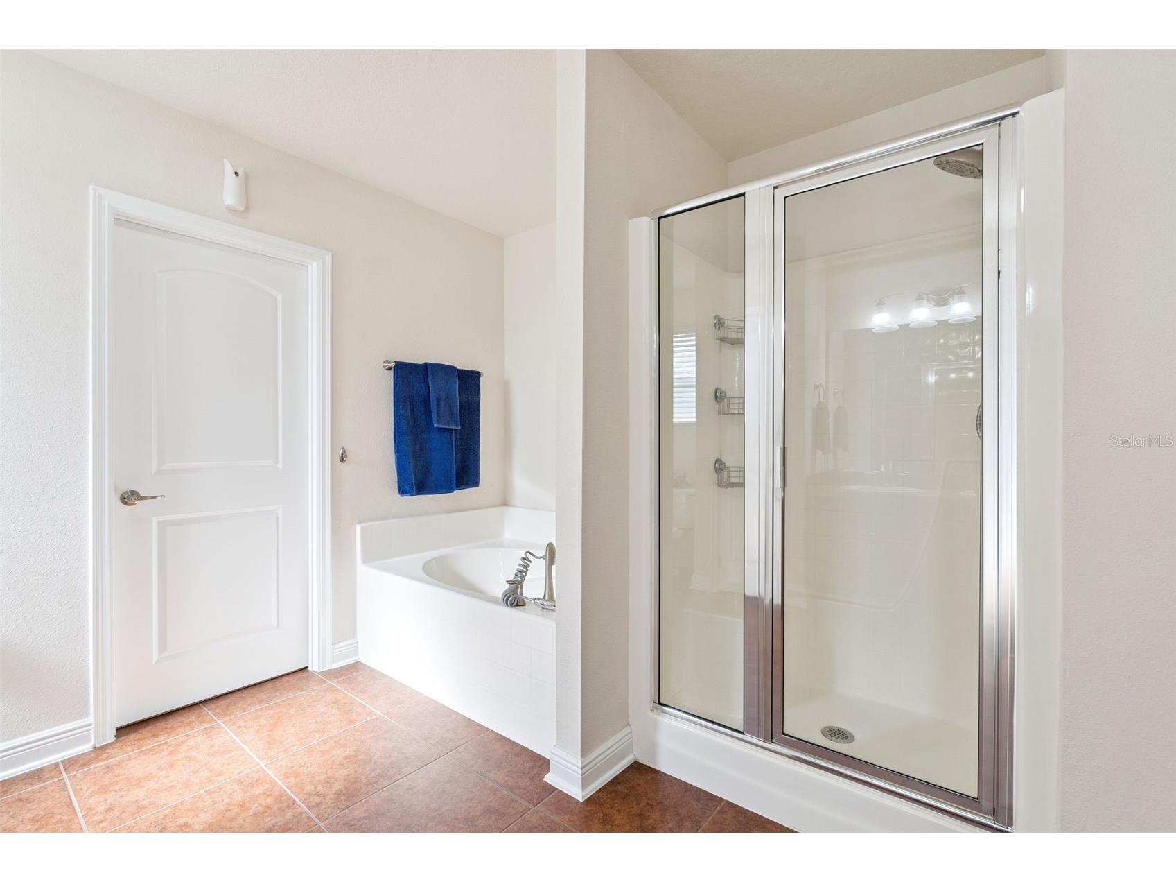 3135 Pizzaro Place Clermont FL 34715 G5110415 image25