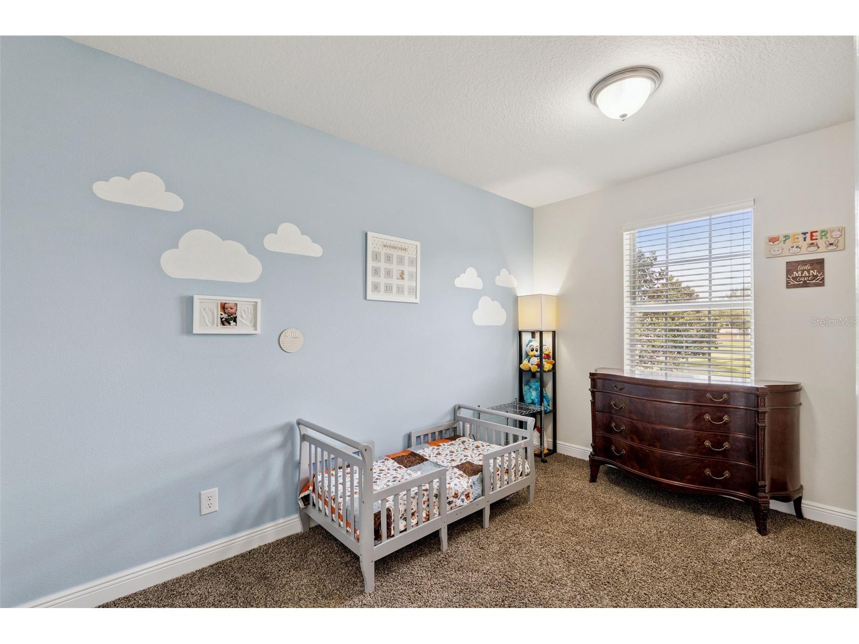 3135 Pizzaro Place Clermont FL 34715 G5110415 image28