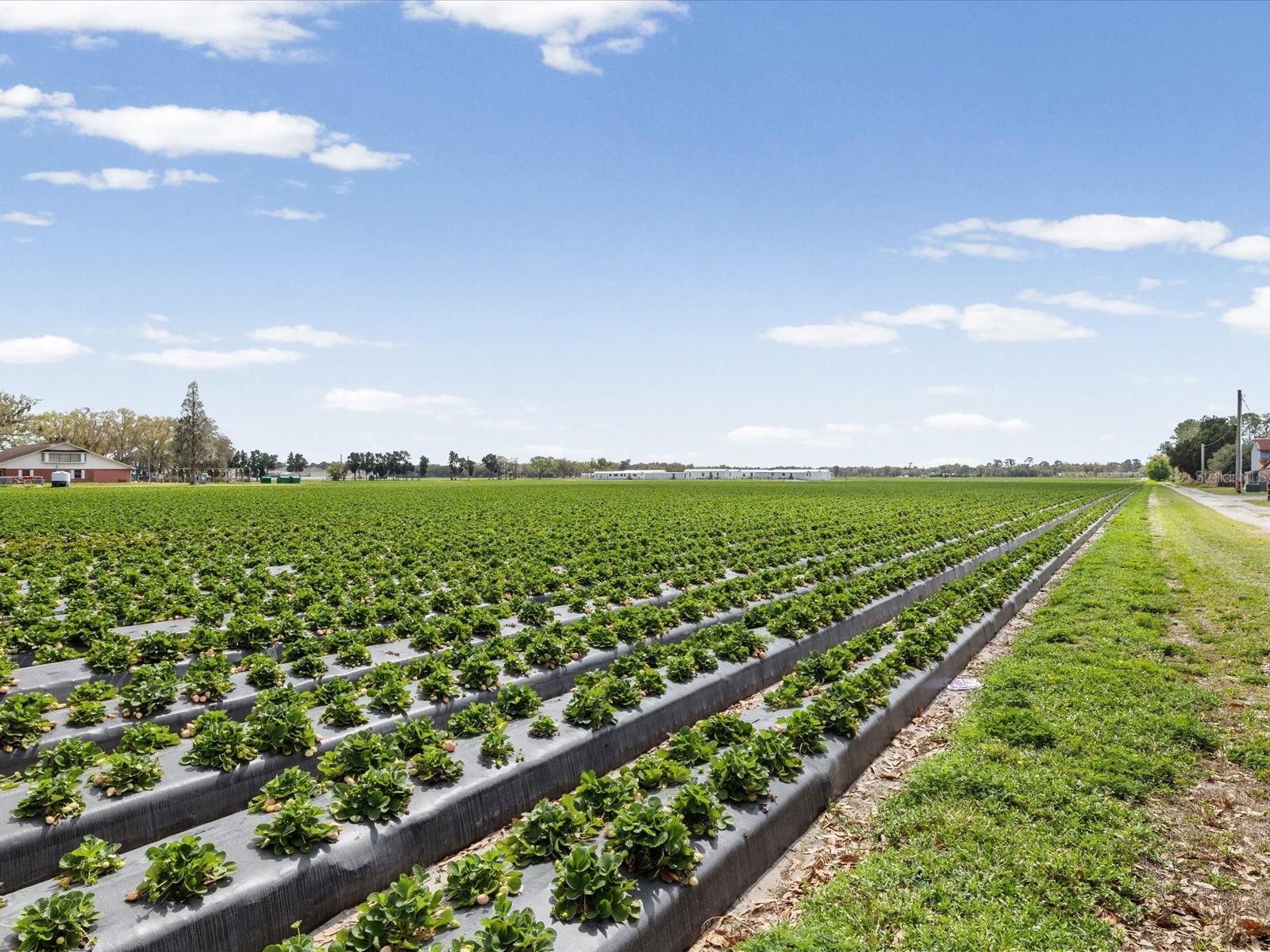 3135 S Northview Road Plant City FL 33566 TB8484736 image73