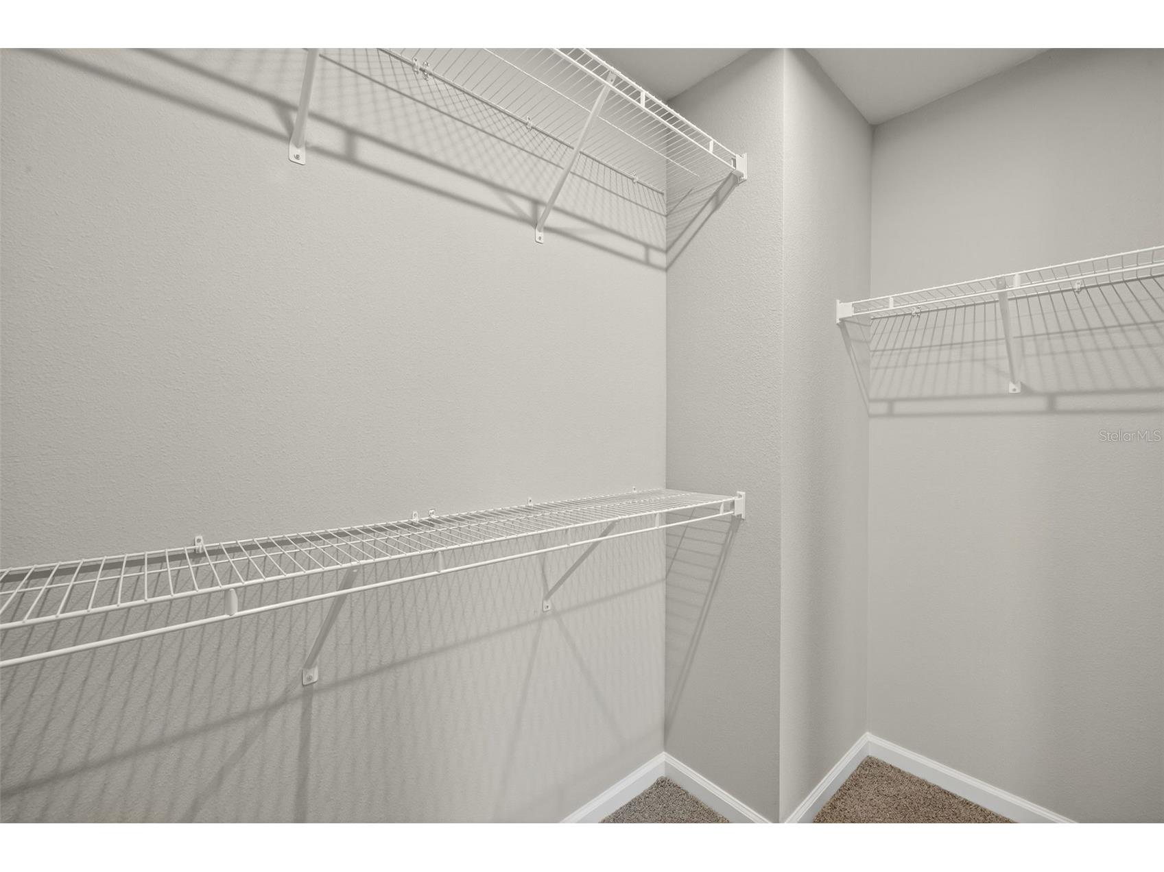 31350 Pendleton Landing Circle Wesley Chapel FL 33545 TB8380441 image19