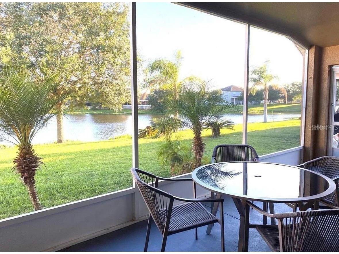 31352 Golden Gate Drive Wesley Chapel FL 33545 TB8513176 image10