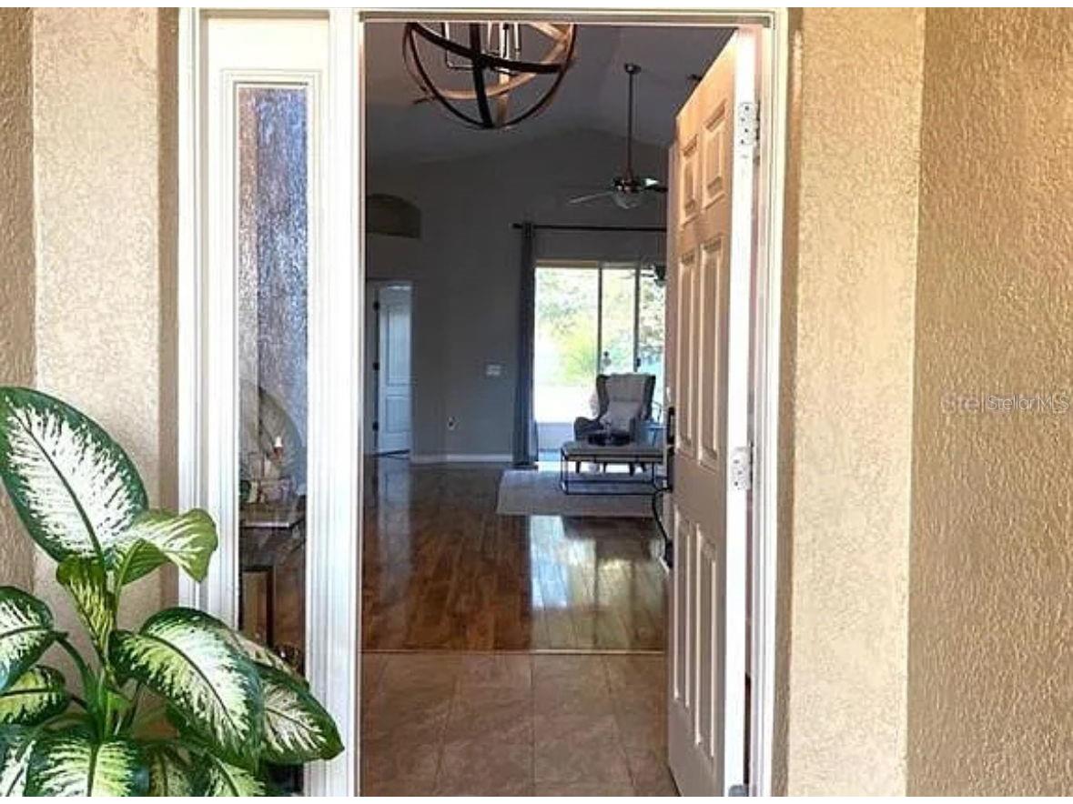 31352 Golden Gate Drive Wesley Chapel FL 33545 TB8513176 image2