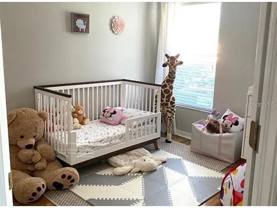 31352 Golden Gate Drive Wesley Chapel FL 33545 TB8513176 image7
