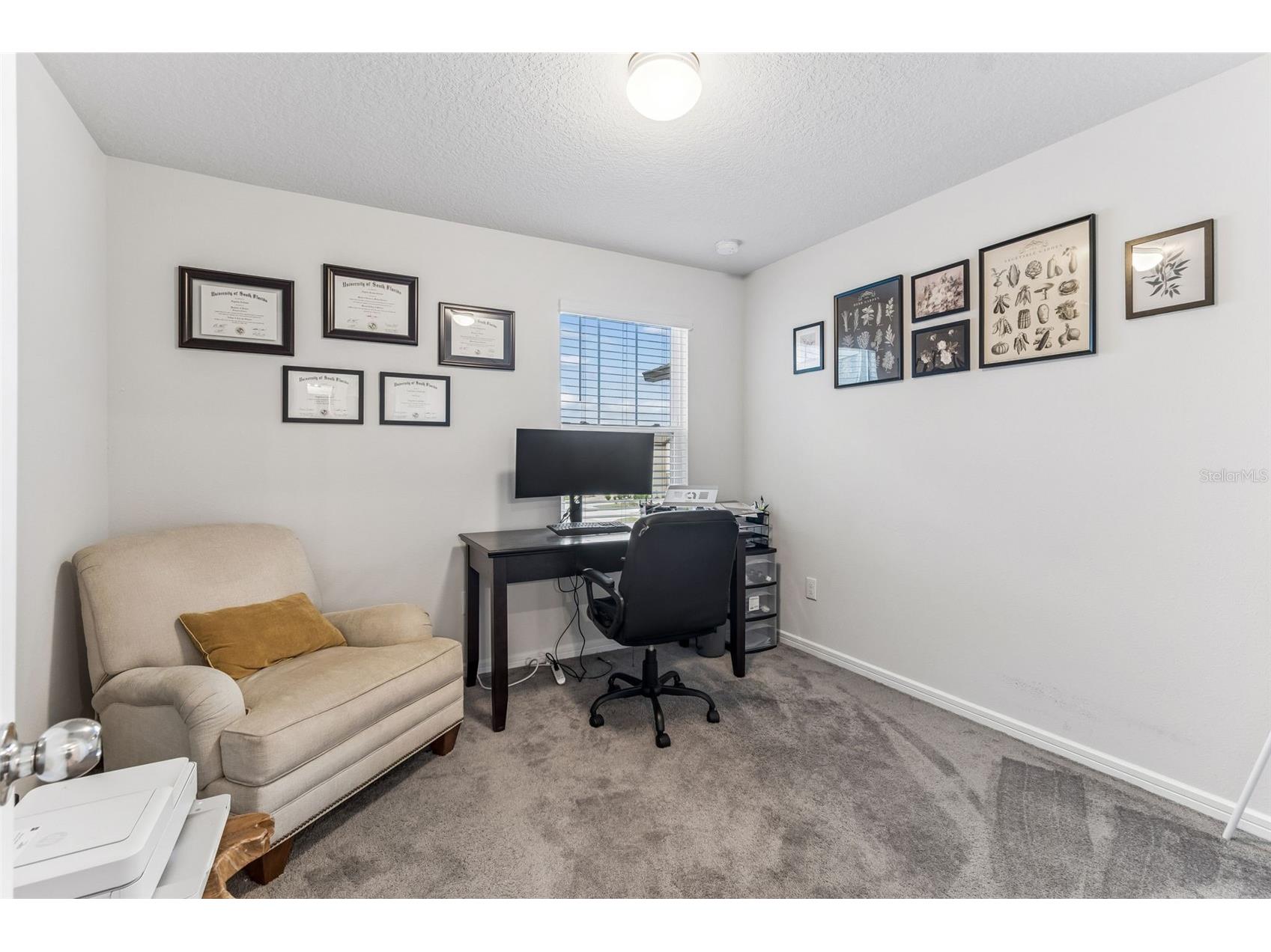 31357 Amberview Bend Wesley Chapel FL 33545 TB8523248 image17