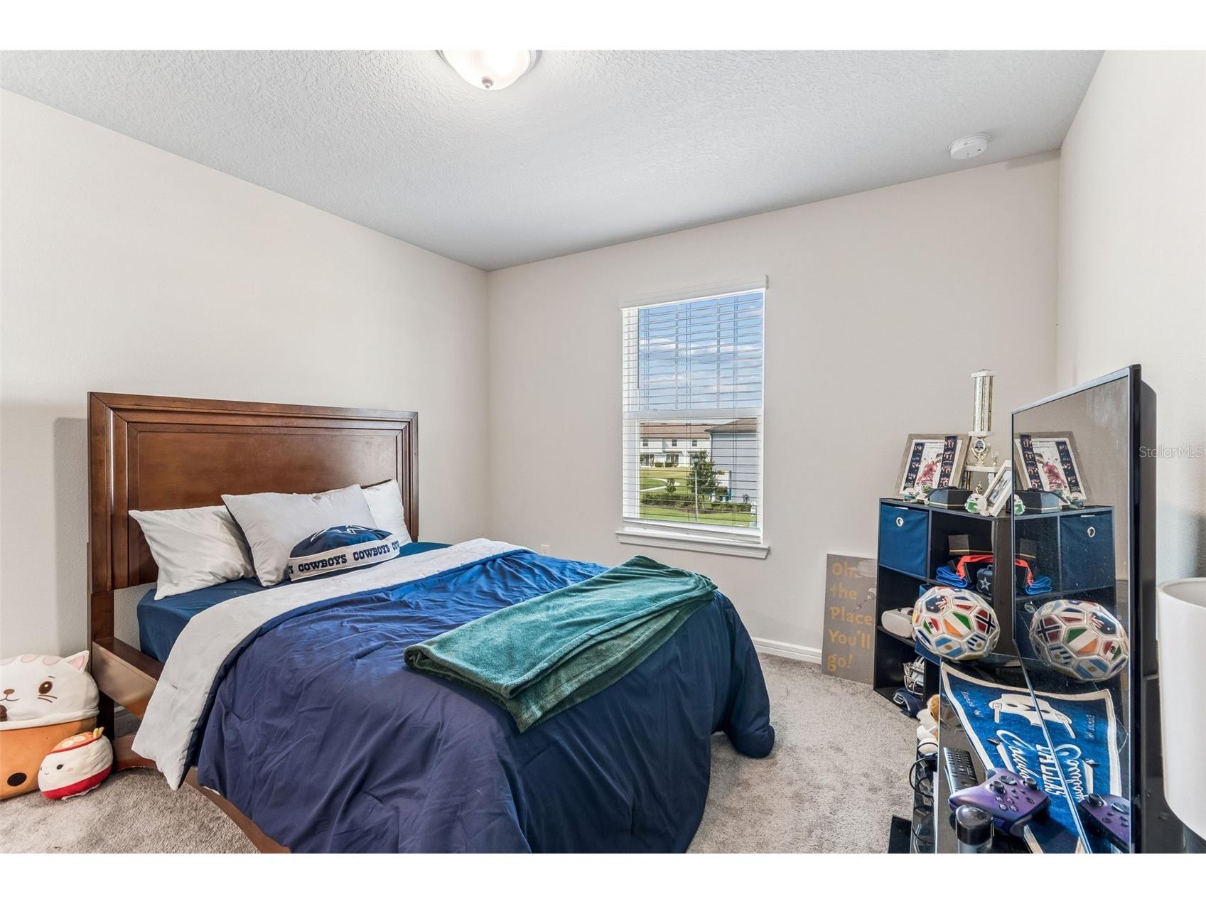 31357 Amberview Bend Wesley Chapel FL 33545 TB8523248 image19