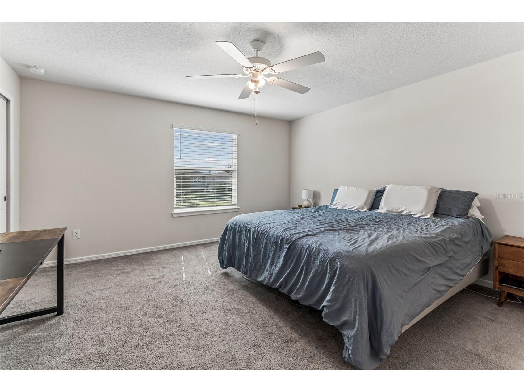 31357 Amberview Bend Wesley Chapel FL 33545 TB8523248 image20