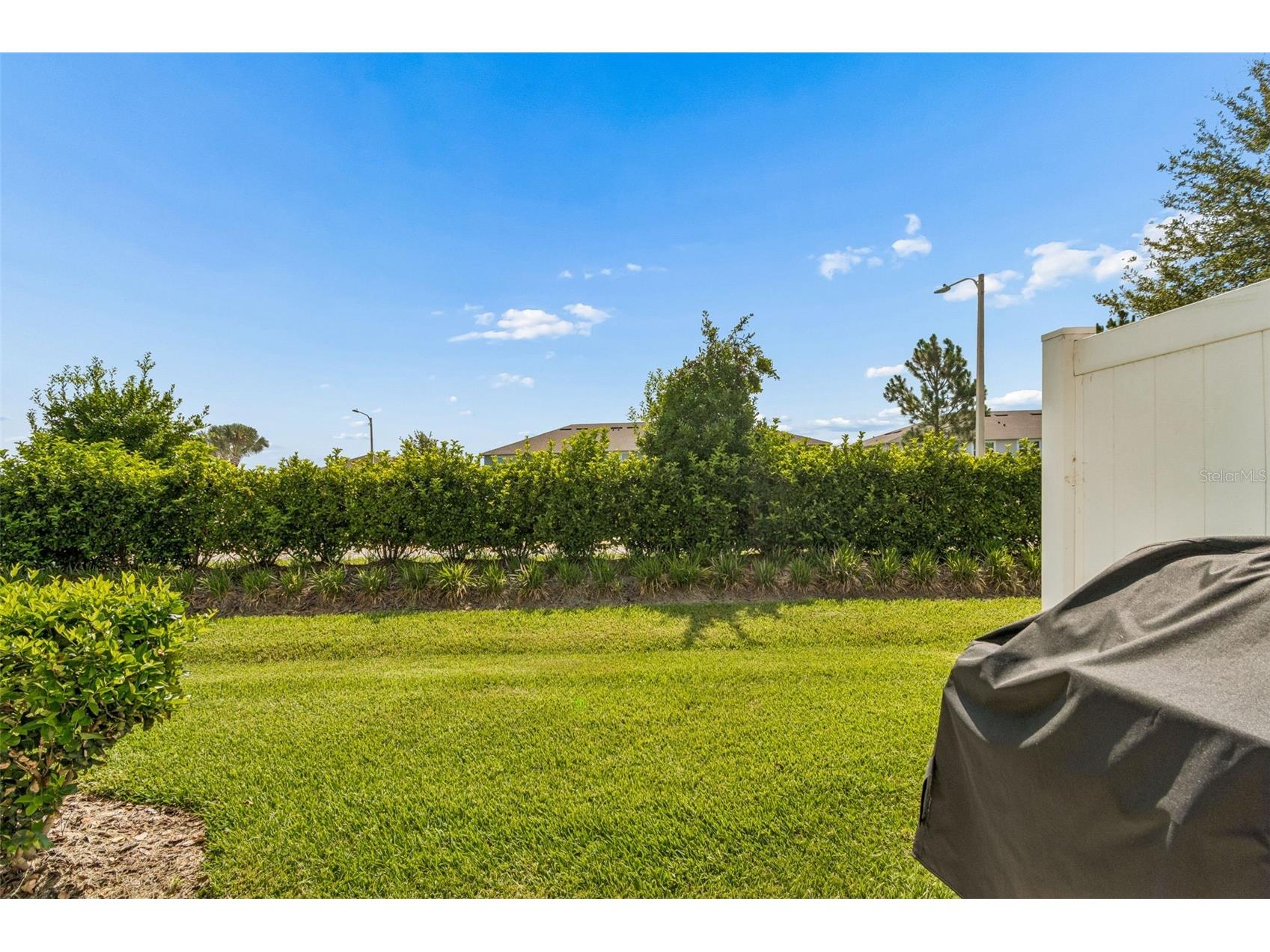 31357 Amberview Bend Wesley Chapel FL 33545 TB8523248 image23