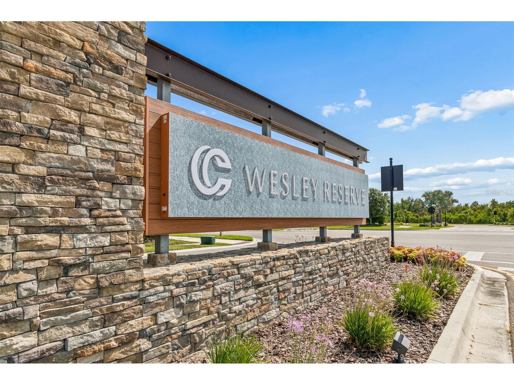 31357 Amberview Bend Wesley Chapel FL 33545 TB8523248 image26